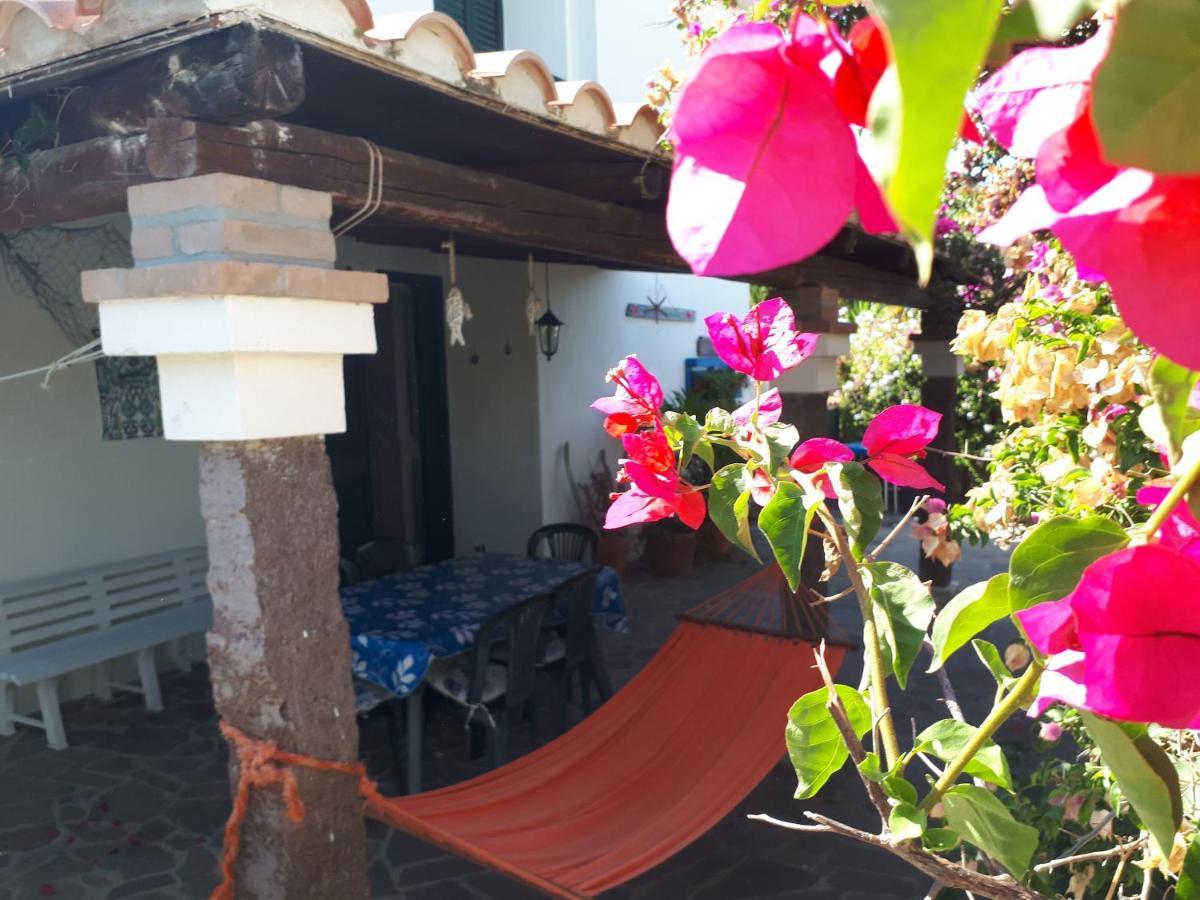 Apartament Villino Marrakech Calasetta Zewnętrze zdjęcie