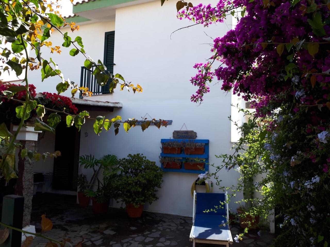 Apartament Villino Marrakech Calasetta Zewnętrze zdjęcie